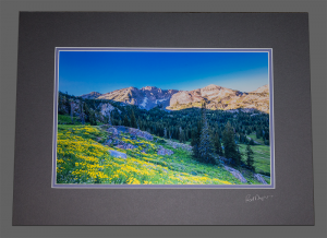 Albion Basin Matted Photo